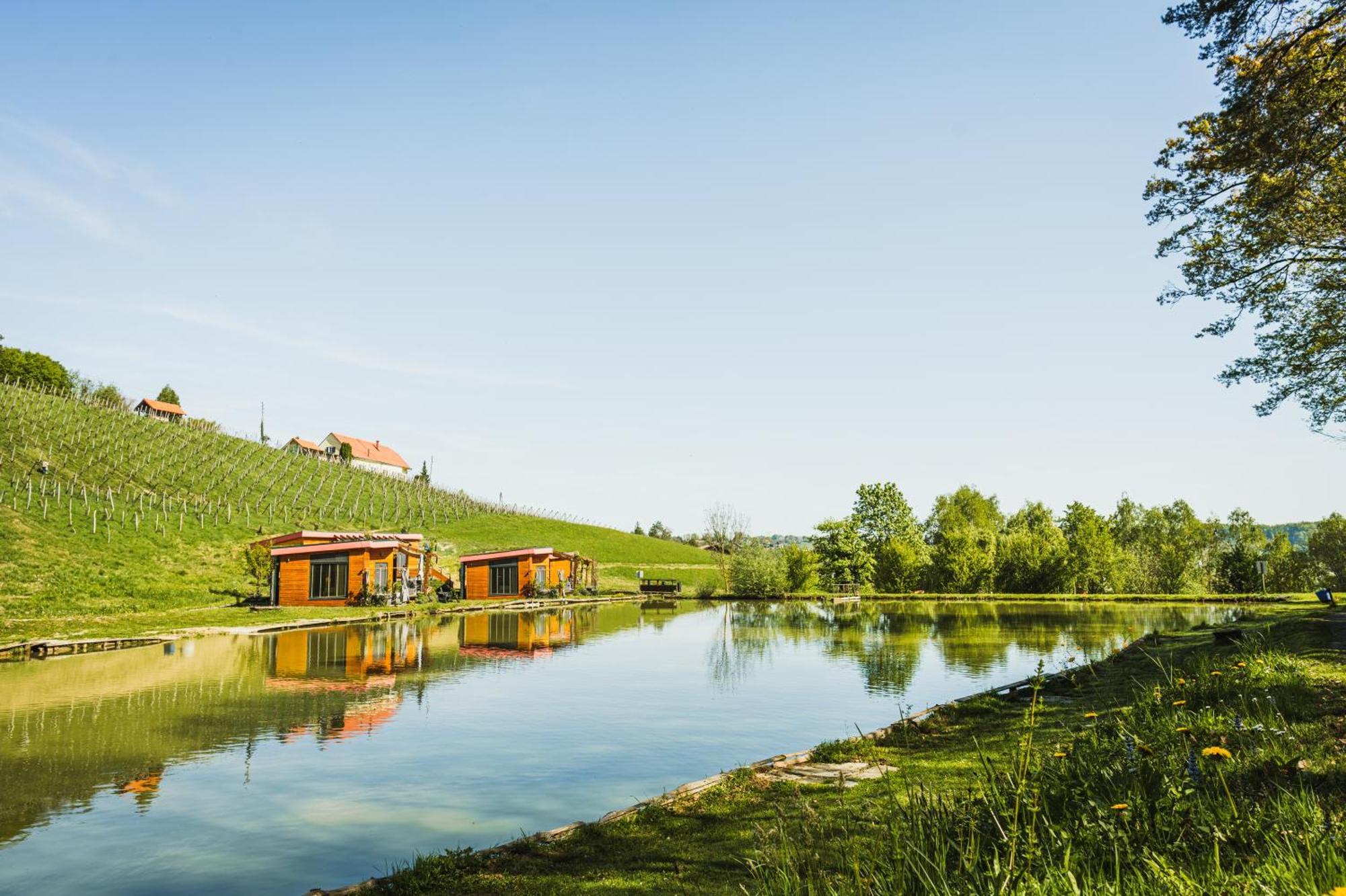 Naturasort Holiday Houses Pesnica pri Mariboru Экстерьер фото