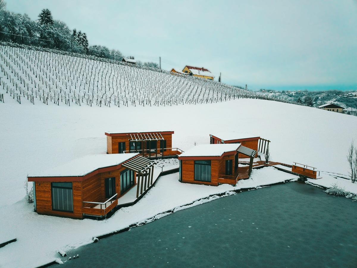Naturasort Holiday Houses Pesnica pri Mariboru Экстерьер фото