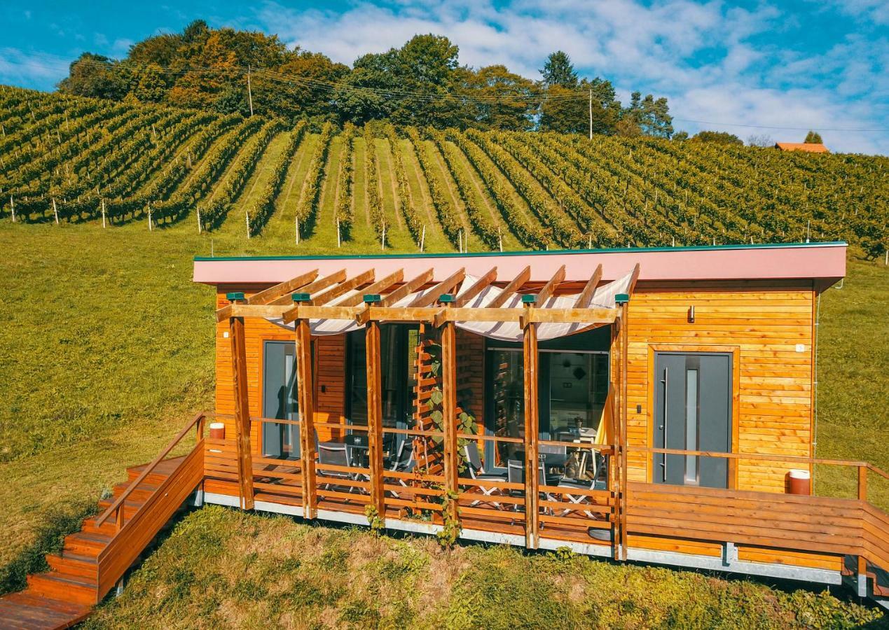 Naturasort Holiday Houses Pesnica pri Mariboru Экстерьер фото
